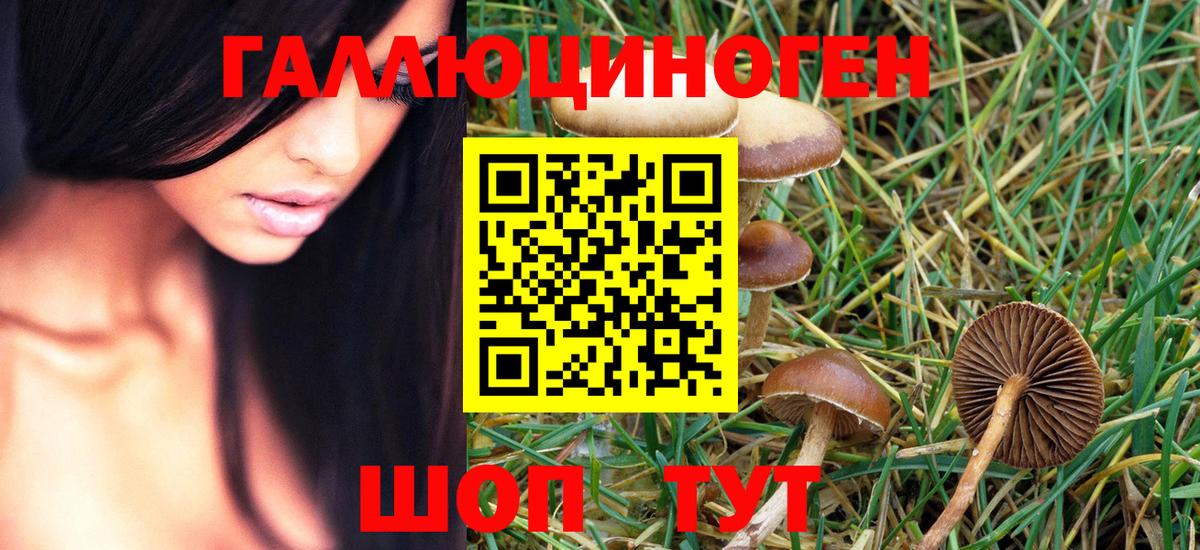 Галлюциногенные грибы MAGIC MUSHROOMS  Вход с VPN  Рославль 